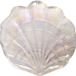 shell shape fruit plate