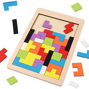 WOODEN INTELLEGENCE PUZZLE