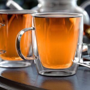 DOUBLE WALL TEA GLASS MUG (350 ML)