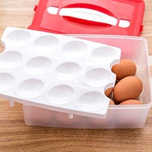 Egg Storage Box 24 Grid