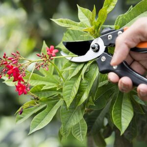 Pruning Shears Cutter Flower Cutter