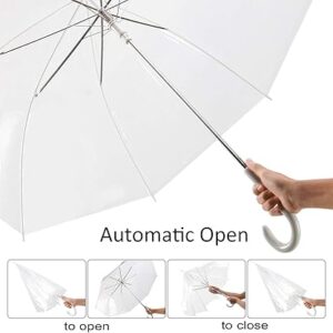 Transparent Umbrella