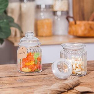 POP JAR 3 PCS SET 650 ML