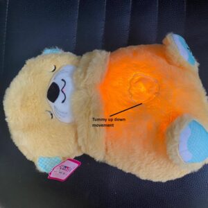 Teddy Bear with Light