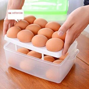 Egg Storage Box 24 Grid