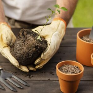 Garden Tool Set SMALL