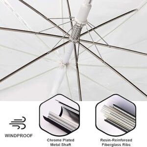 Transparent Umbrella