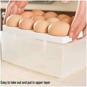 Egg Storage Box 24 Grid
