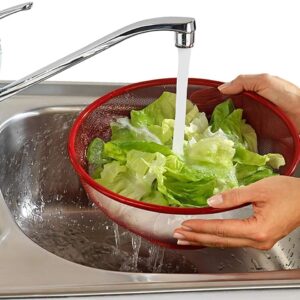 Apple Shape Net Fruits & Vegetables Basket