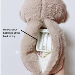 Teddy Bear with Light