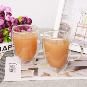 DOUBLE WALL TEA GLASS MUG (350 ML)