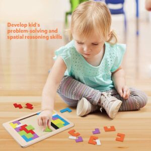 WOODEN INTELLEGENCE PUZZLE
