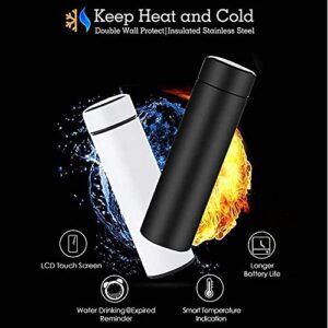 Temperature Water Bottle
