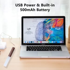 Intelligent Induction Lamp