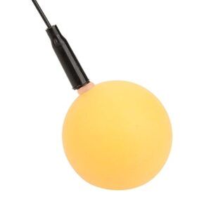 Portable Table Tennis