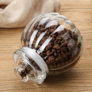 Pumpkin Airtight Jar 2000ml