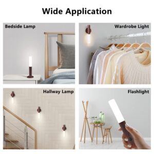 Intelligent Induction Lamp