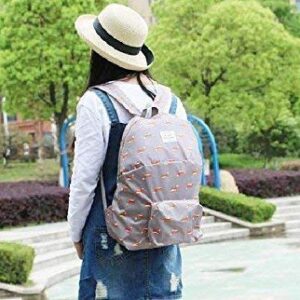 Foldable College Bag