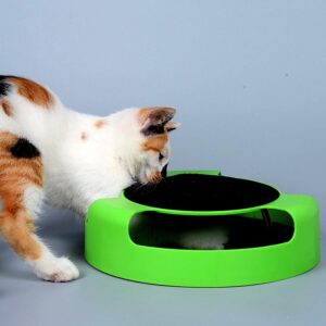 Cat Interactive Pad