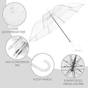 Transparent Umbrella