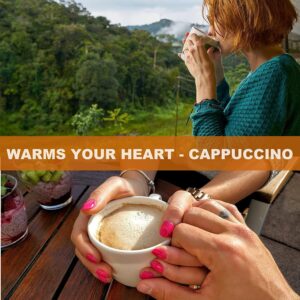 ELECTRIC MILK FROTHER WITH SS STAND